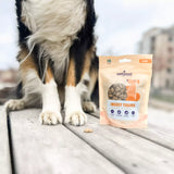 Insect-based dog treats for training - 100g