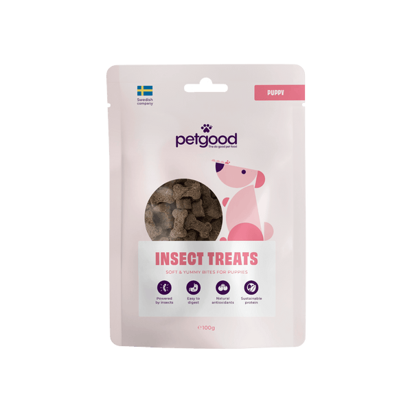 Dog Treat Puppy