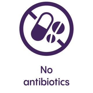 no antibiotics