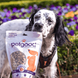 FREE Dog treats with insects & Berries 100 g